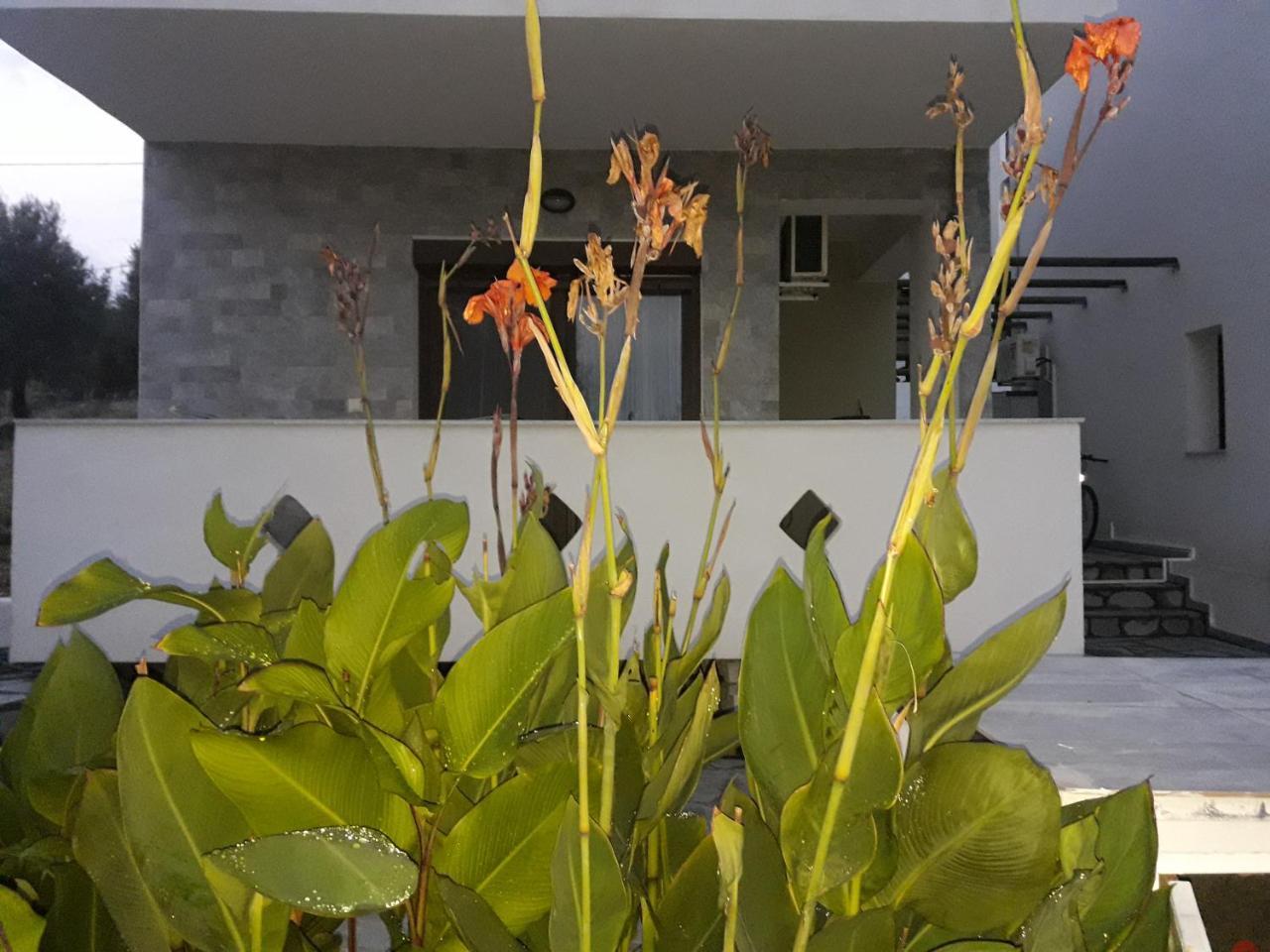 Villa Oliva 阿斯特里斯 外观 照片