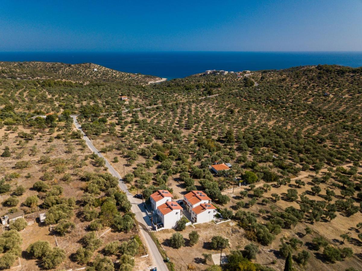 Villa Oliva 阿斯特里斯 外观 照片